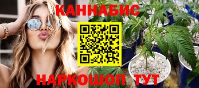 шишки Пугачёв