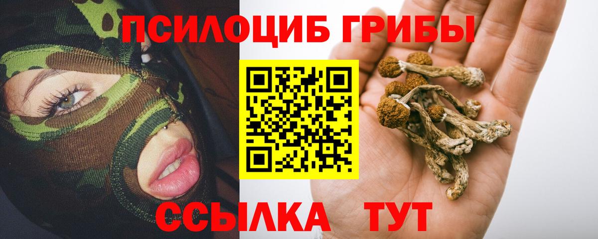 Псилоцибиновые грибы Psilocybe  Вход с VPN  Псилоцибиновые грибы мицелий  Сегежа 